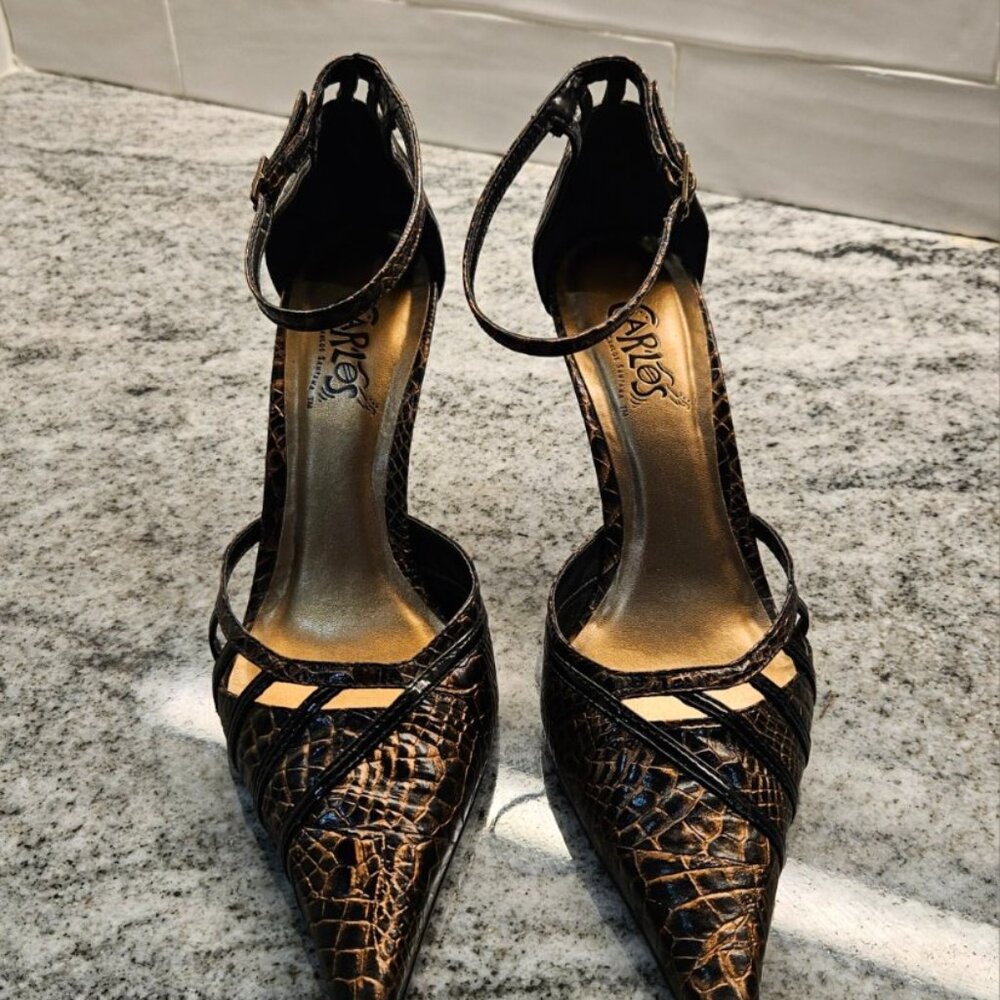 Carlos by Carlos Santana